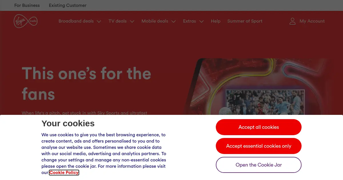 Website preview for virginmedia.com